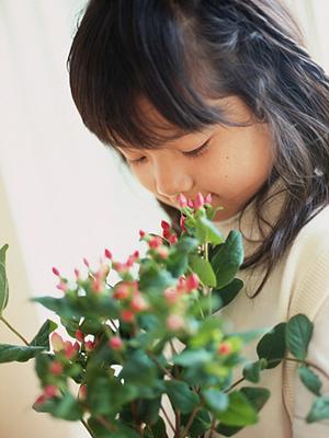 成城学園前で見つける理想のプリスクール！子供の可能性を広げる教育プログラムの全貌