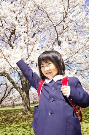 荒川区で見つける！効果抜群の個別指導塾徹底比較2026年最新版